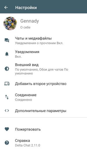 Настройки мессенджера Дельта Чат